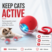 Interactive Rolling Cat Toy with Faux Tail