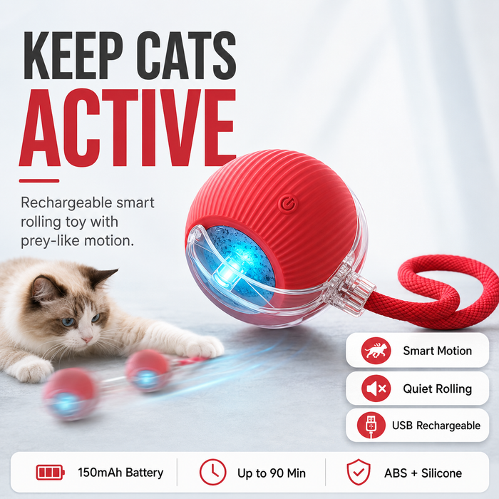 Interactive Rolling Cat Toy with Faux Tail